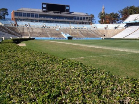 The lesser known hedges of Kenan Memorial Stadium Photo - Ryan Kantor